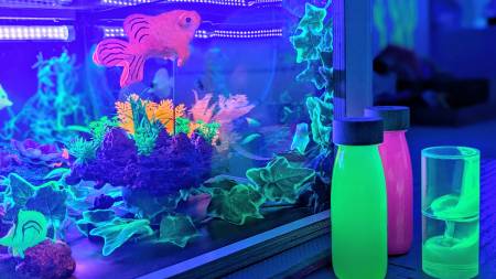 Notre zone d'activité pour ce service Centre de loisirs spécialisé dans les activités pour enfants et bébés